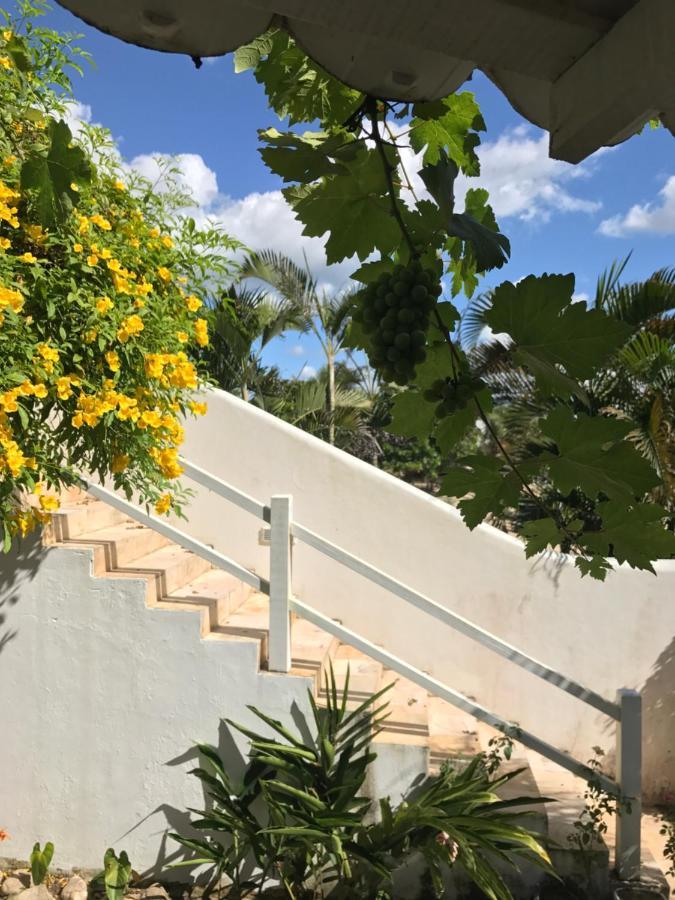 Pousada Papaya Jijoca de Jericoacoara Luaran gambar